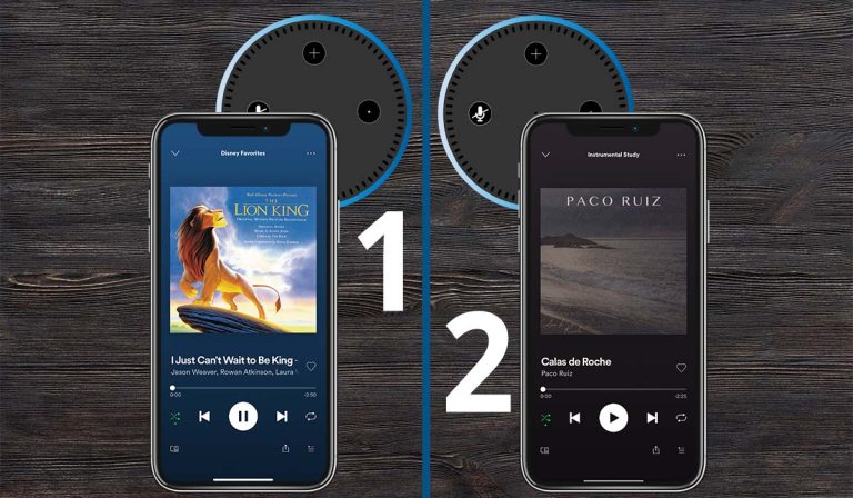 Могут ли 2 Echo Dots воспроизводить разную музыку одновременно?