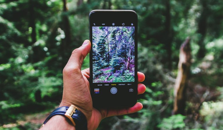 Как отключить живые фотографии на iPhone, чтобы сохранить данные